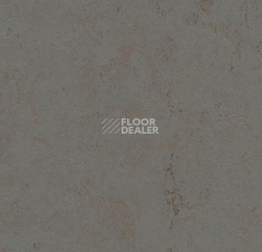 Линолеум Forbo Marmoleum Decibel on Order 370335 comet фото 1 | FLOORDEALER